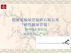 經尿道輸尿管鏡碎石取石術