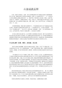山寨成就品牌