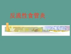 反流性食管炎ppt课件