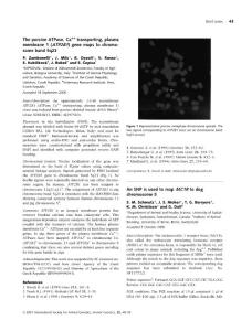 An SNP is used to map MC1R to dog chromosome 5