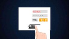 長白臻品品牌包裝與推廣全程策劃案