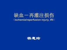 中山医科大学病理生理学PPT课件缺血再灌注损伤