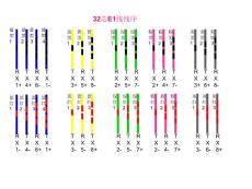 TD基站開通E1線線序及打線方法