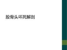 股骨头坏死解剖
