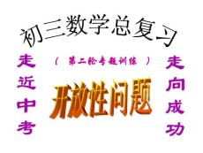 15初中数学初三数学总复习开放性问题