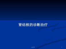 肾结核的诊断治疗