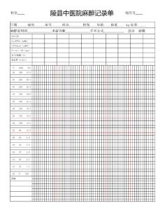 麻醉记录单  麻醉总结