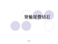 《肾输尿管结石》