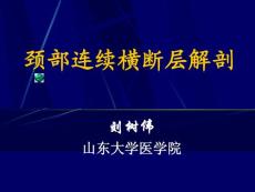 基础医学断层解剖学PPT课件 06 颈部连续横断层解剖