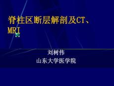 基础医学断层解剖学PPT课件 13_脊柱区断层解剖及CT、MRI