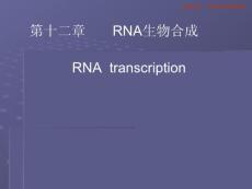 北大基础医学生物化学PPT课件 RNA的生物合成