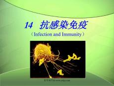 北大基礎醫學免疫學PPT課件 14抗感染免疫
