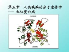 中国医科大基础医学遗传学PPT课件 人类疾病的分子遗传学-血红蛋白病