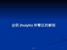 会阴和臀区的解剖学习教案