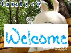 蓮文化的魅力，語文活動