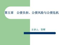 [经济/管理]第五讲 公债负担、公债风险与公债危机