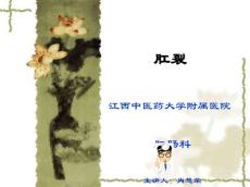 肛裂ppt