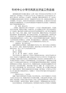 牛村中心小学行风民主评议工作总结