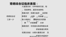 肾病综合征 膜性肾病