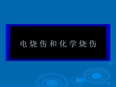 电烧伤和化学烧伤【精品-】