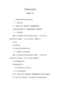 肾癌临床路径