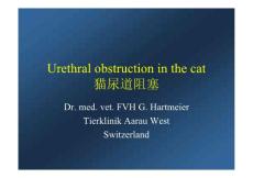 Urethral obstruction in the cat猫尿道阻塞