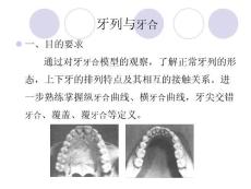 華西醫學院-口腔解剖學PPT課件牙列與牙合
