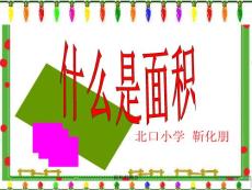 面積的概念 ppt課件