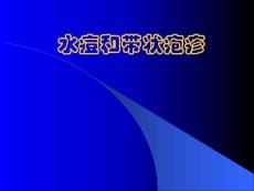 《水痘带状疱疹》