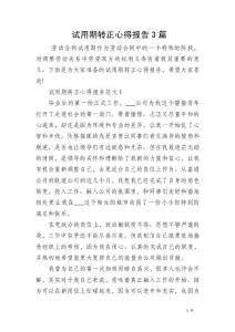 試用期轉(zhuǎn)正心得報(bào)告3篇