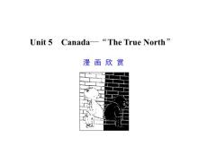 高考英语专项复习课件Unit 5　Canada—“The True North”