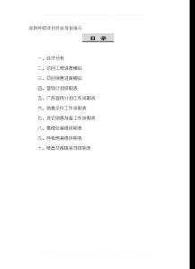 深圳外銷項(xiàng)目經(jīng)典策劃報(bào)告2