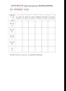 表9 整體銷售推廣計(jì)劃表