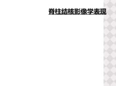 脊柱结核影像学表现