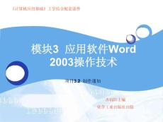 应用软件Word_2003操作技术