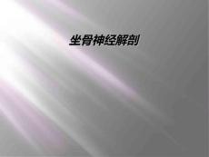 坐骨神经解剖