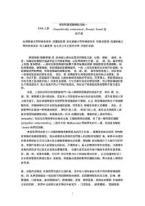 学习障碍困难体验活动