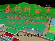 森林種苗學(xué)7-第6章休眠催芽