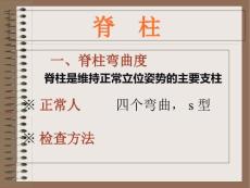 脊柱及四肢