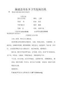 内耳眩晕症病历
