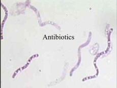 抗生素是怎样工作的？（英文PPT）How Antibiotics Work