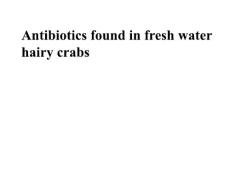Antibiotics found in fresh water hairy crabs