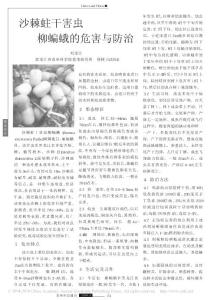 沙棘蛀干害虫柳蝙蛾的危害与防治