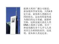 徐德全-鯊魚和人類是親戚