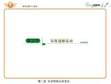 《化学物质及其变化：氧化还原反应》专题