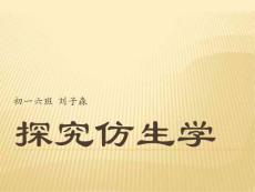 劉子森-探究仿生學(xué)