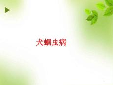 犬 蛔虫病