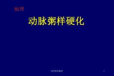 病理-动脉粥样硬化