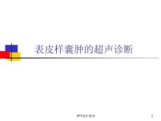 表皮样囊肿的超声