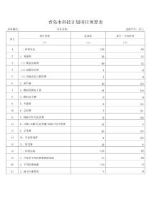科技計劃項目預算表